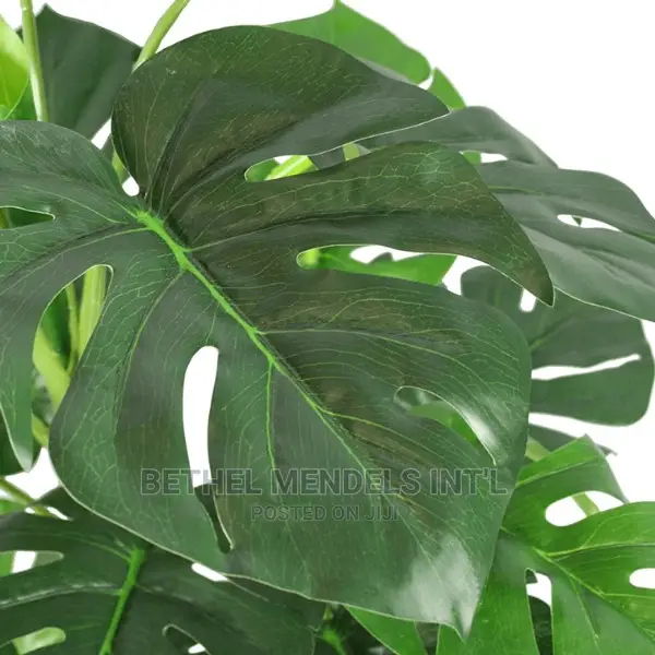 Artificial Monstera Plants for Interior Decoration