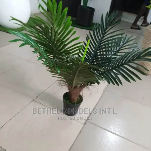 Sales of Fake Mini Palm Plant for Home/Office Interior Decor