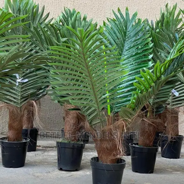 Sales of Fake Mini Palm Plant for Home/Office Interior Decor