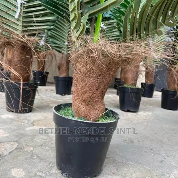 Sales of Fake Mini Palm Plant for Home/Office Interior Decor