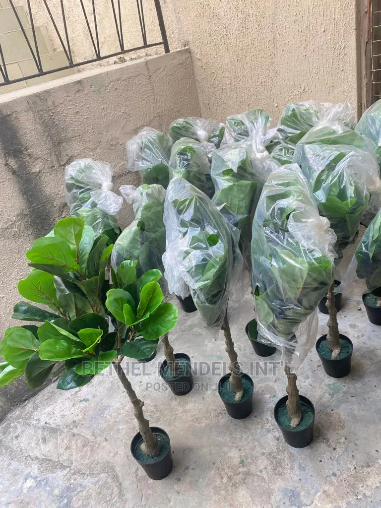 Artificial Fiddle Tree | Indoor Fake Plants for Bulk Sale