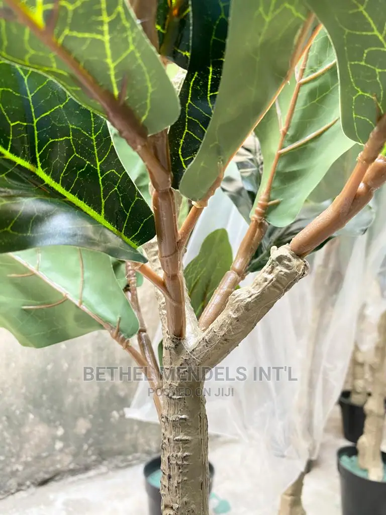 Artificial Fiddle Tree | Indoor Fake Plants for Bulk Sale