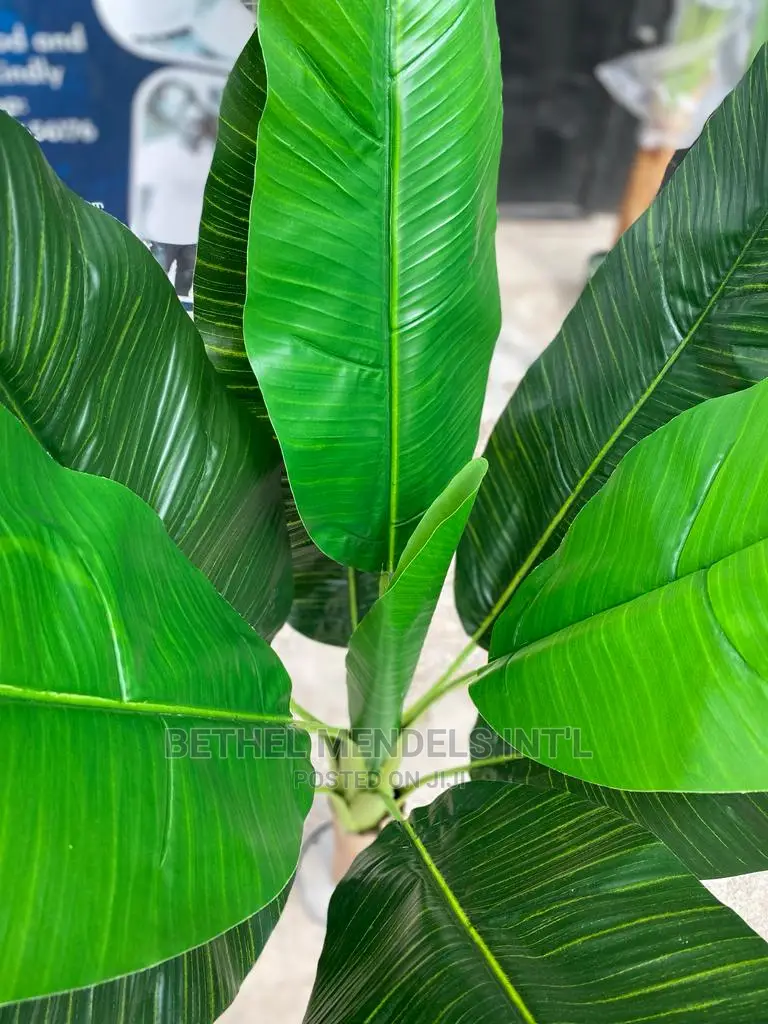 Fake Banana Tree 120cm | Sales of Indoor Artificial Plants