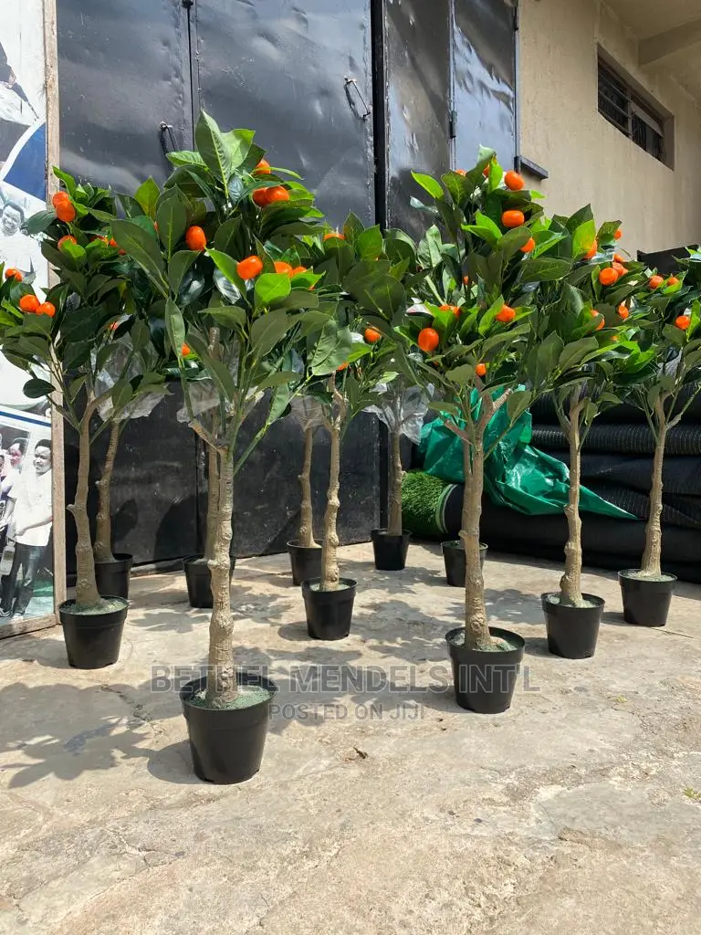 Artificial Orange Trees |Bulk Sales of Home Decor Plants