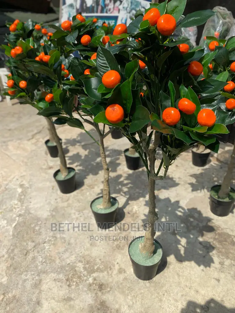 Artificial Orange Trees |Bulk Sales of Home Decor Plants