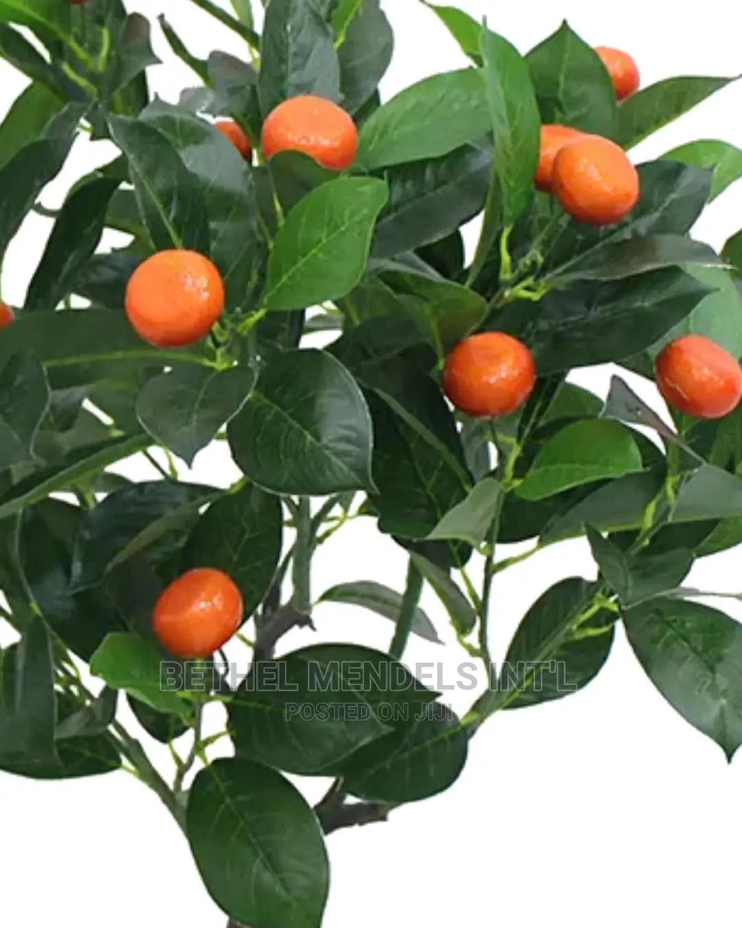 Artificial Orange Trees |Bulk Sales of Home Decor Plants