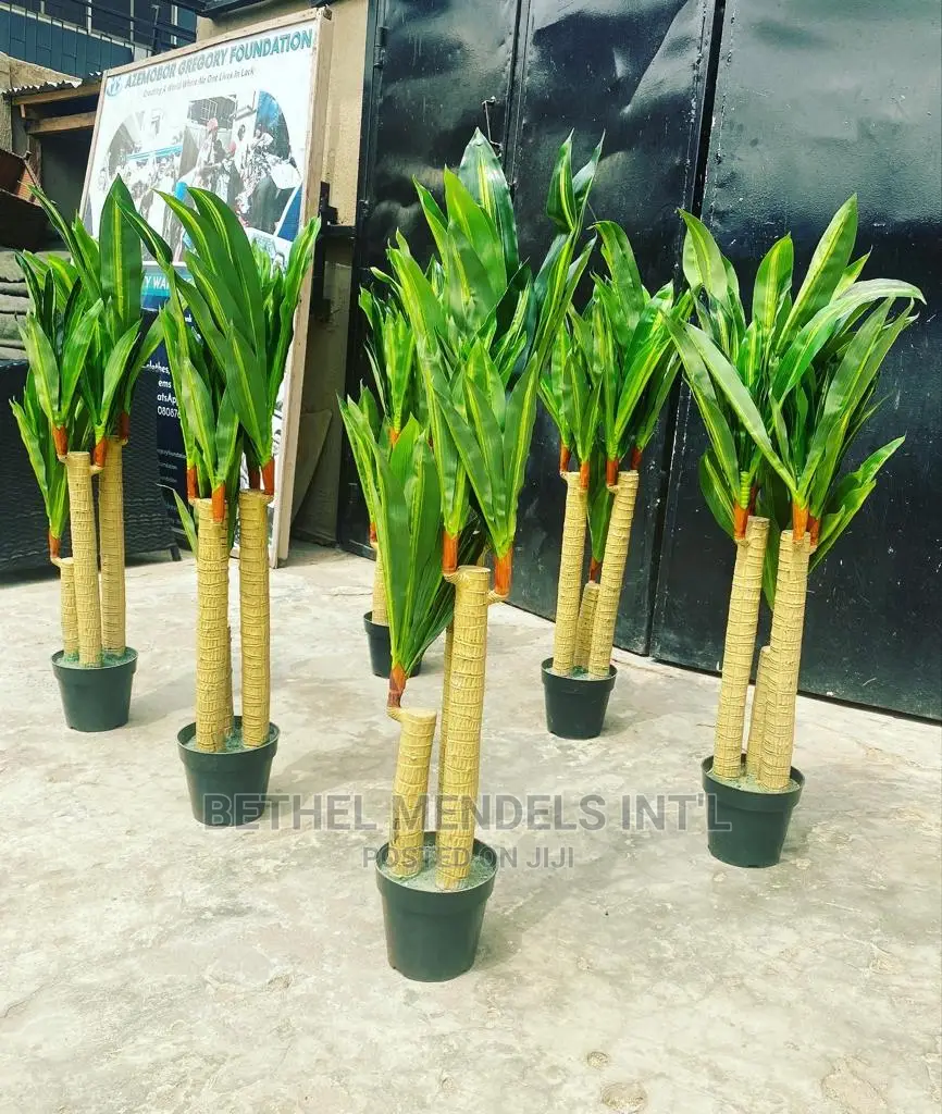 Artificial Dracaena Plants (Fat Trucks) | Wholesale of Plant
