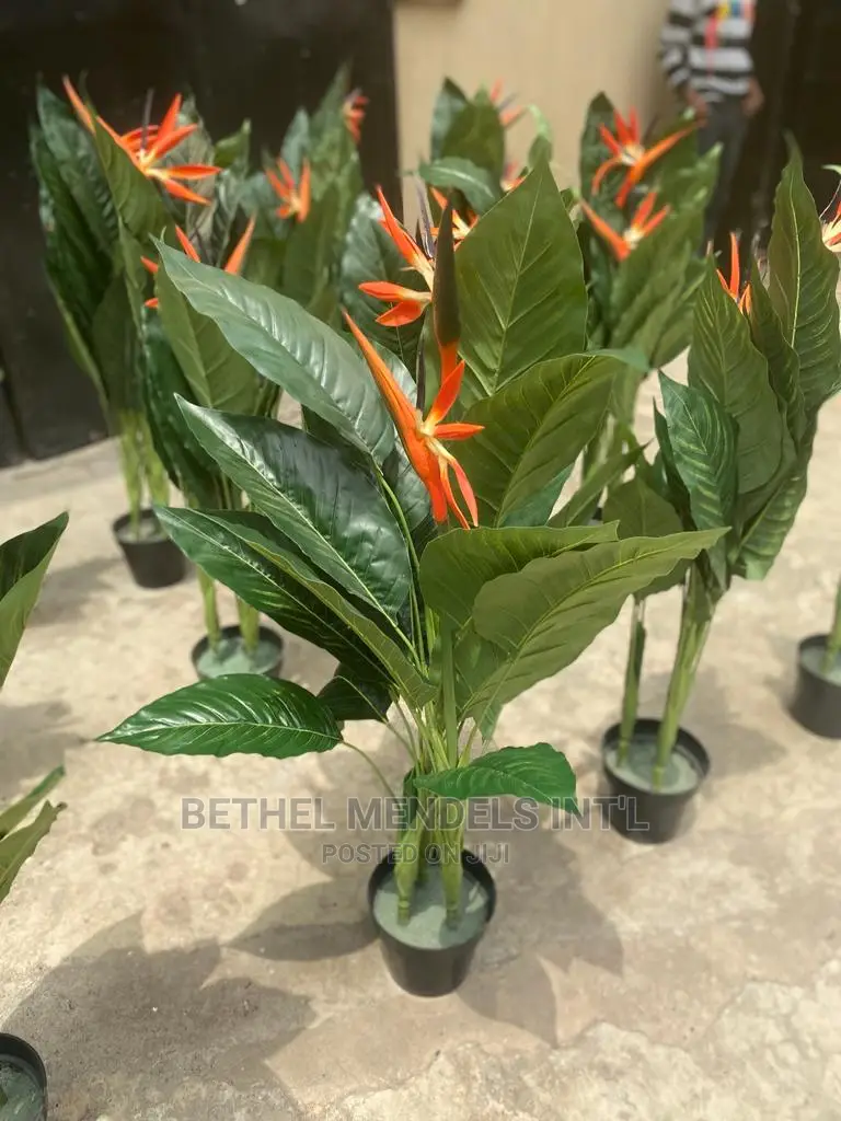 Fake Birds of Paradise Plants | Bulk Plants Sales