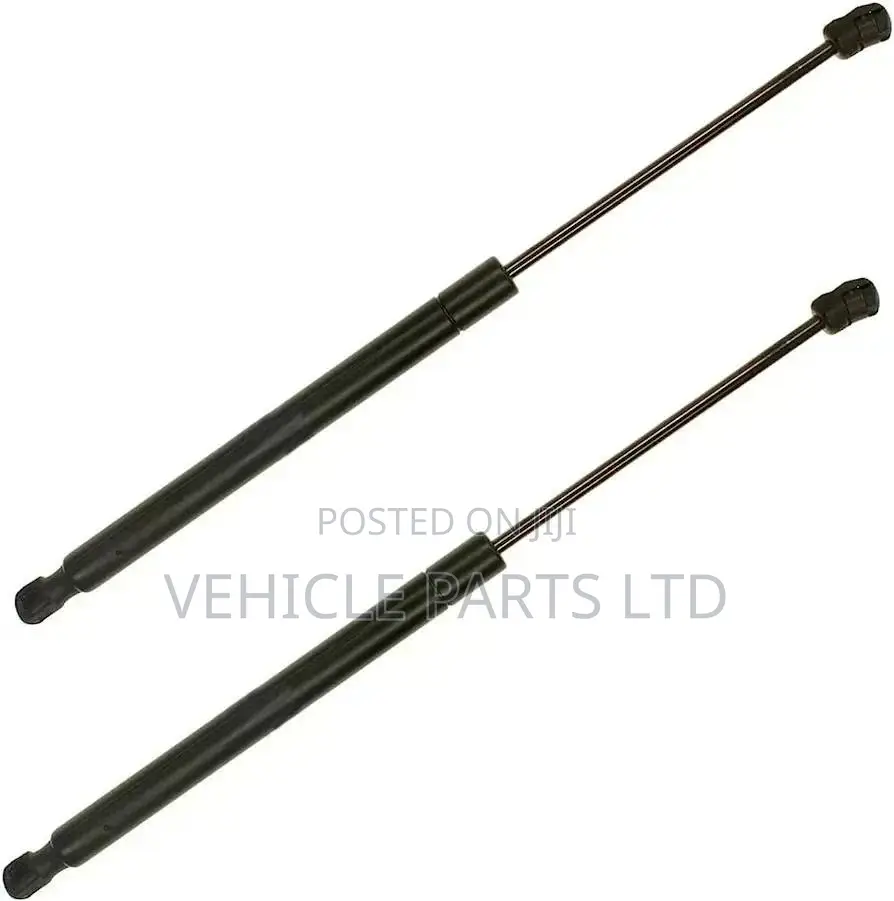 Manual Boot and Bonnet Shocks Struts for Toyota and Lexus
