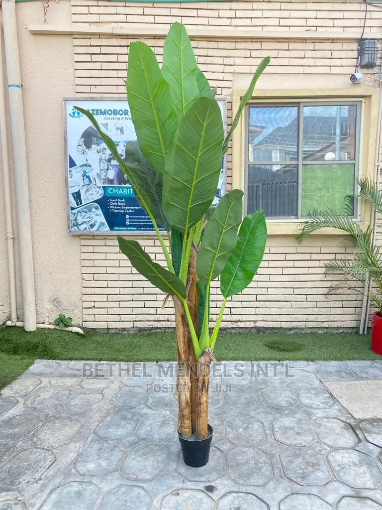 Fake Three Stems Banana Tree | Wholesalers Wanted