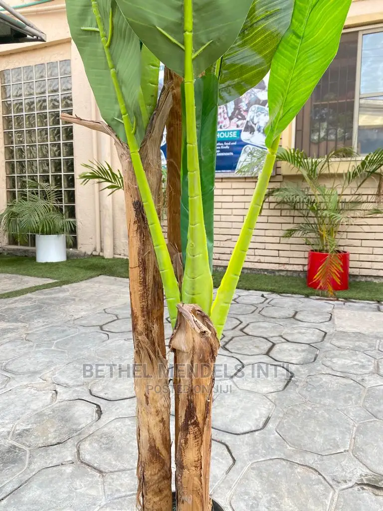 Fake Three Stems Banana Tree | Wholesalers Wanted