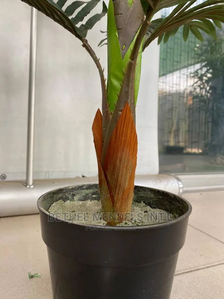 Artificial Palm Plants Perfect for Home Interior Decorations