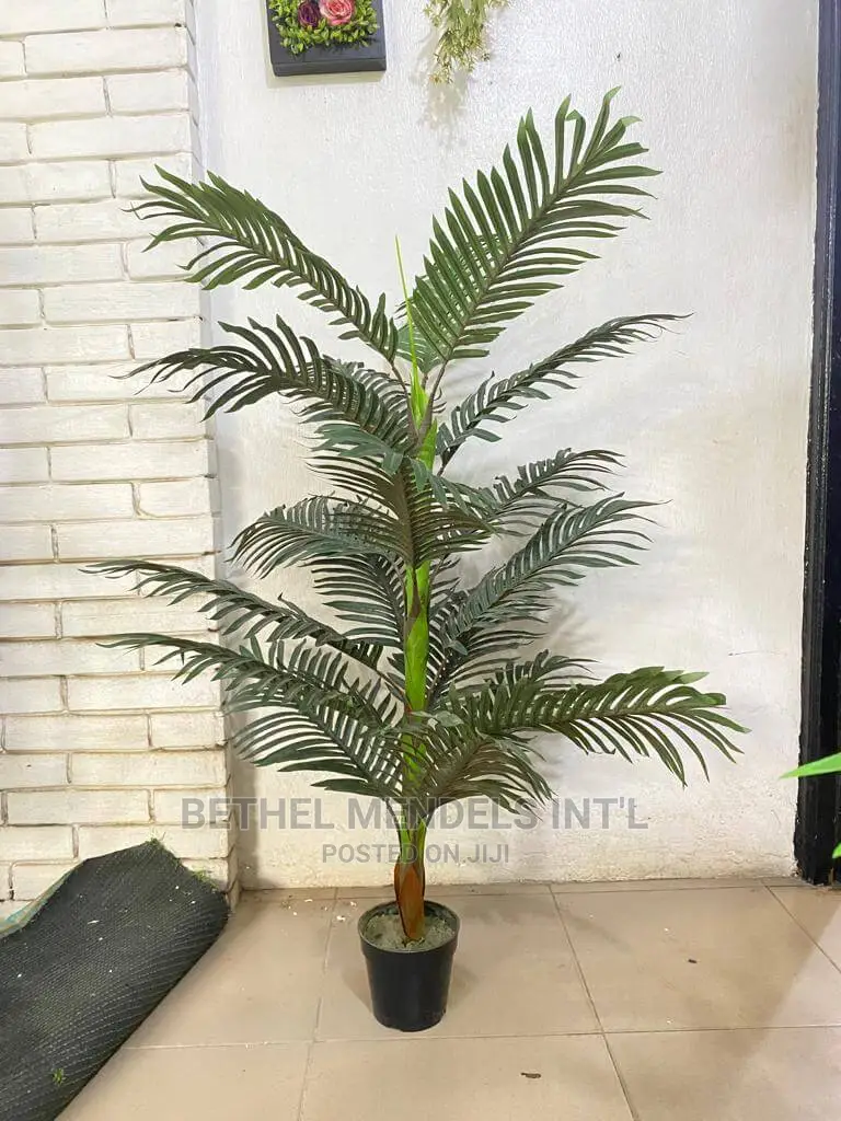 Artificial Palm Plants Perfect for Home Interior Decorations