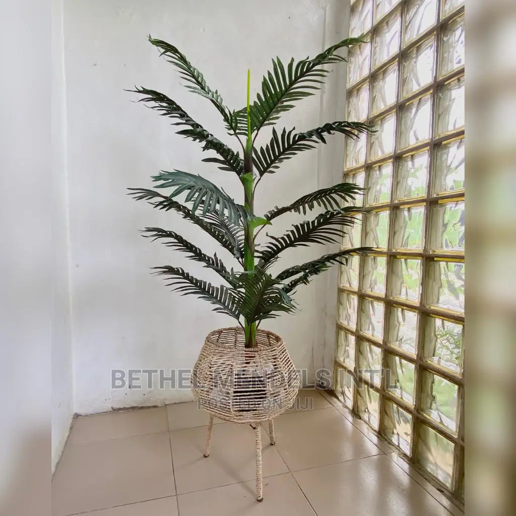 Artificial Palm Plants Perfect for Home Interior Decorations