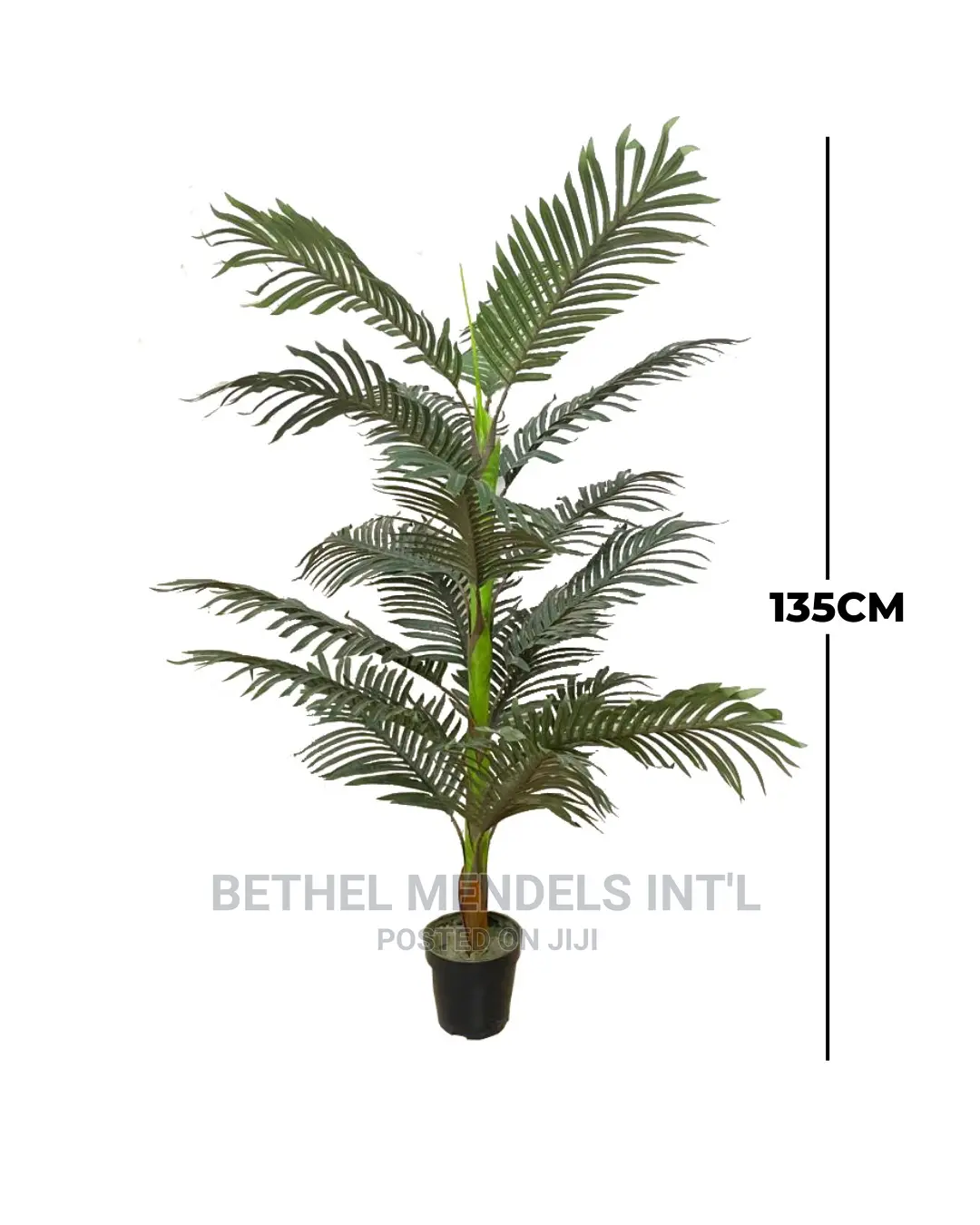 Artificial Palm Plants Perfect for Home Interior Decorations