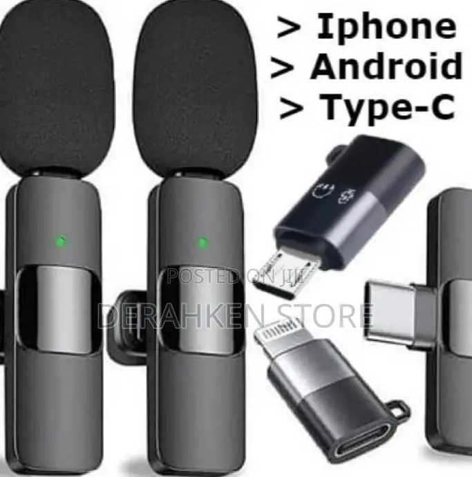 3 in 1 Dual Mic