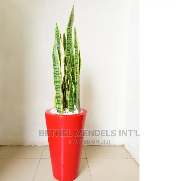 Wholesale of Cone Fiberglass Flower Vases in Ikeja Lagos