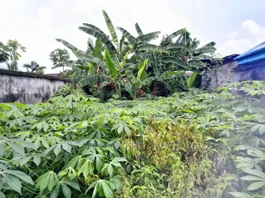 10bdrm Block of Flats in Oyibo, Oyigbo for sale