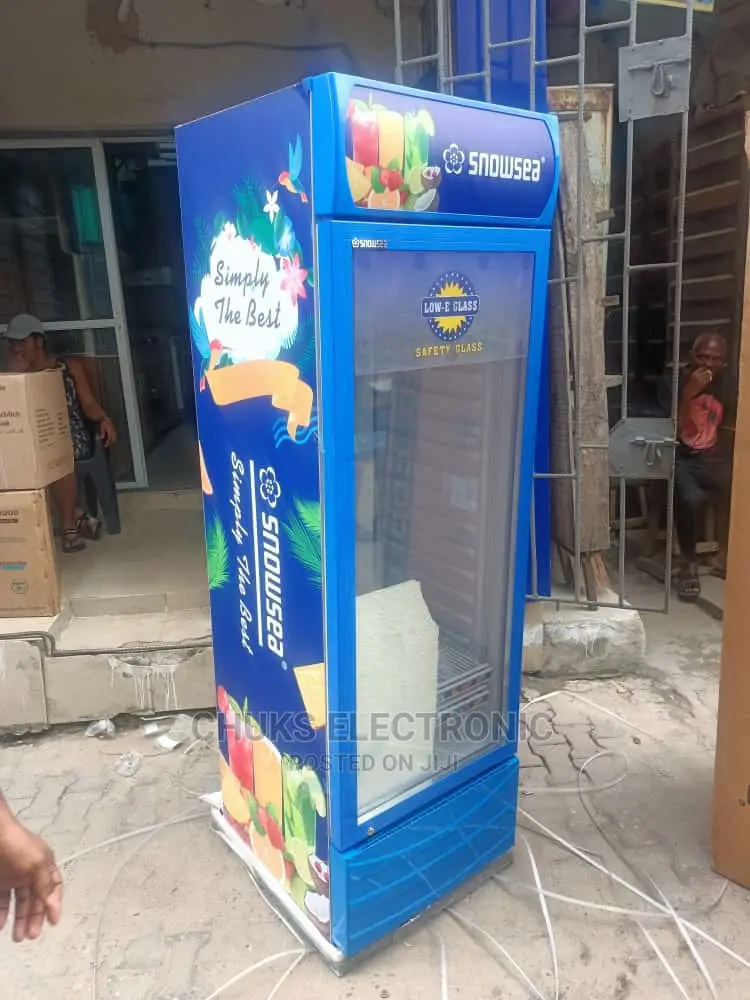 300L Snowsea Standing Chiller