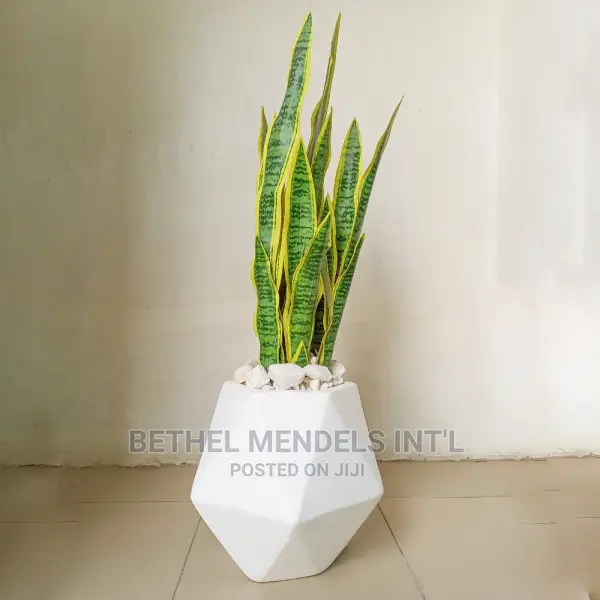 Sales of Quality Decagon Fiberglass Flower Pots