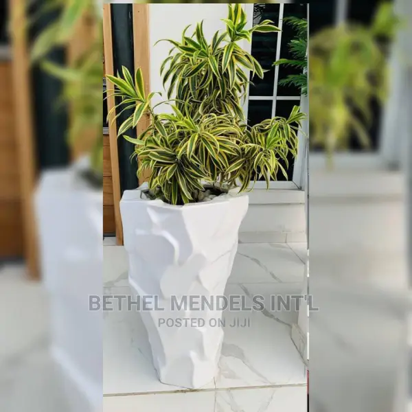 Wholesales of 77cm Jagged Edge Fiberglass Flower Planters