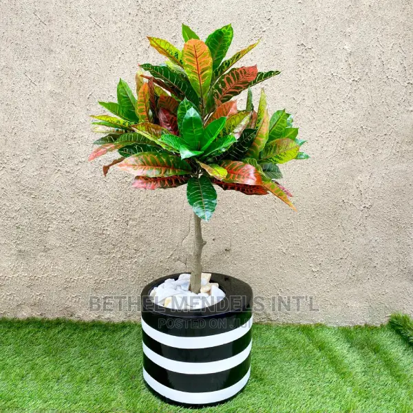 Curved Mouth Cylinder Fiberglass Flower Planters | Bulk Sale