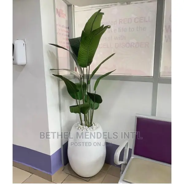 60cm Egg Classic Fiberglass Flower Planter | Bulk Sales