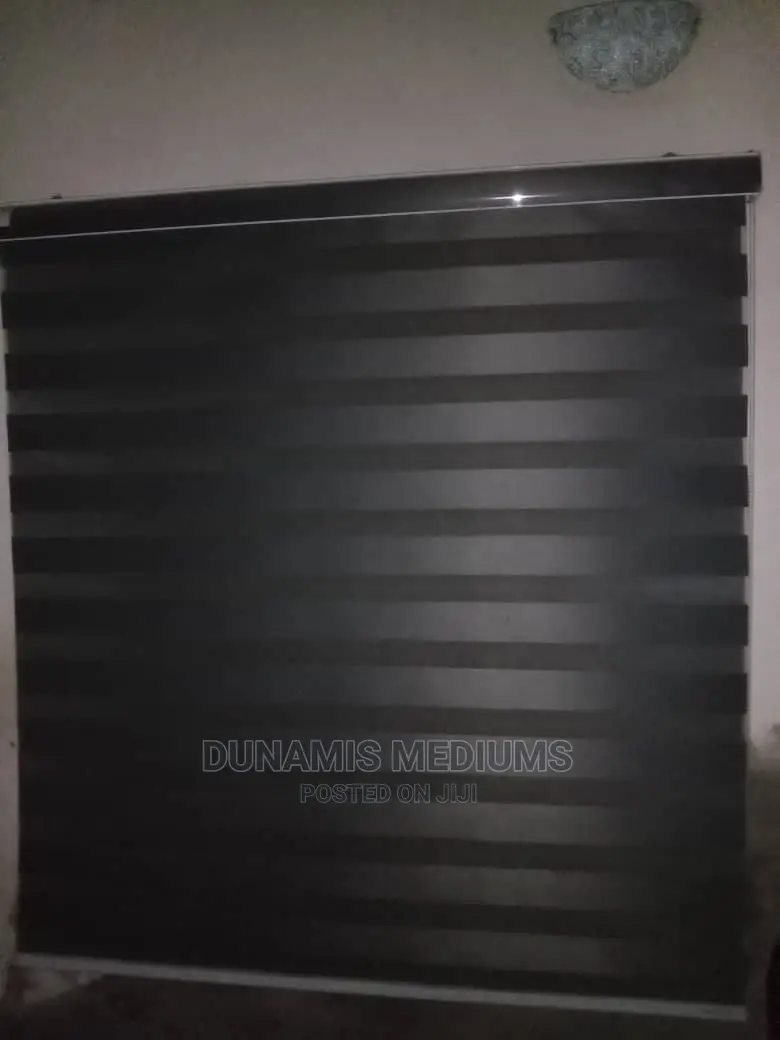 Day and Night Window Blinds.