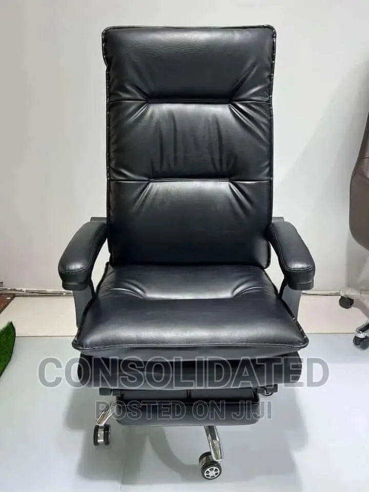 Executive Ergonomic Office Chair