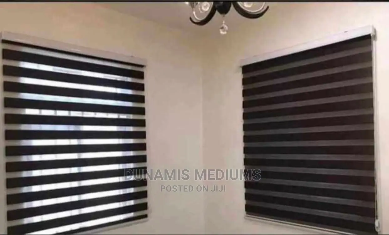 Day and Night Window Blinds