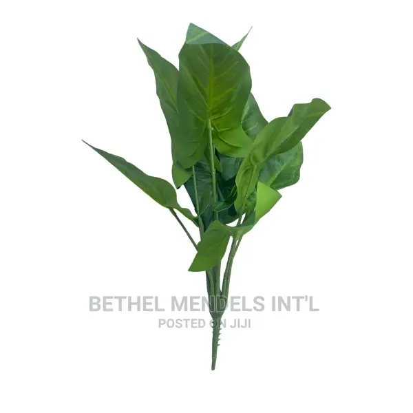 Bulk Sales of Unpotted Plants for Interior Decorations
