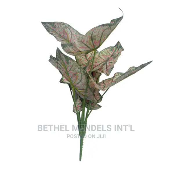 Bulk Sales of Unpotted Plants for Interior Decorations