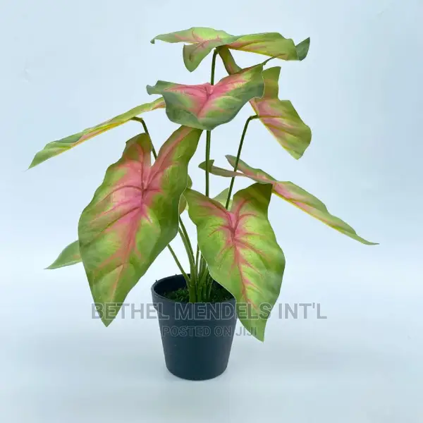 Bulk Sales of Unpotted Plants for Interior Decorations