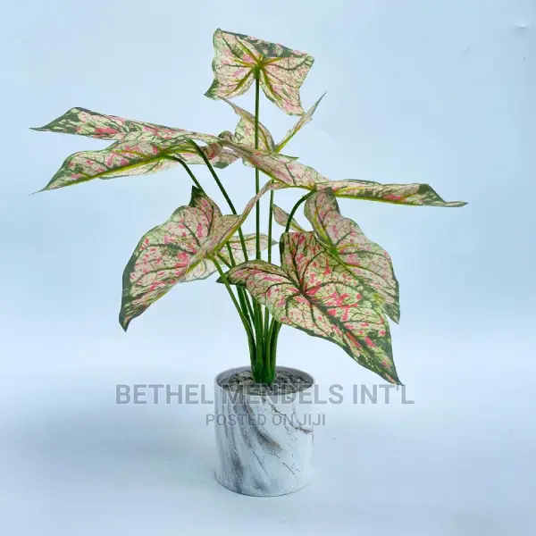 Bulk Sales of Unpotted Plants for Interior Decorations