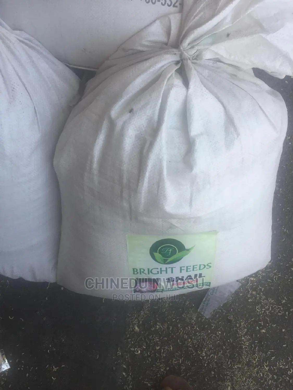 Snail Feed and Calcium