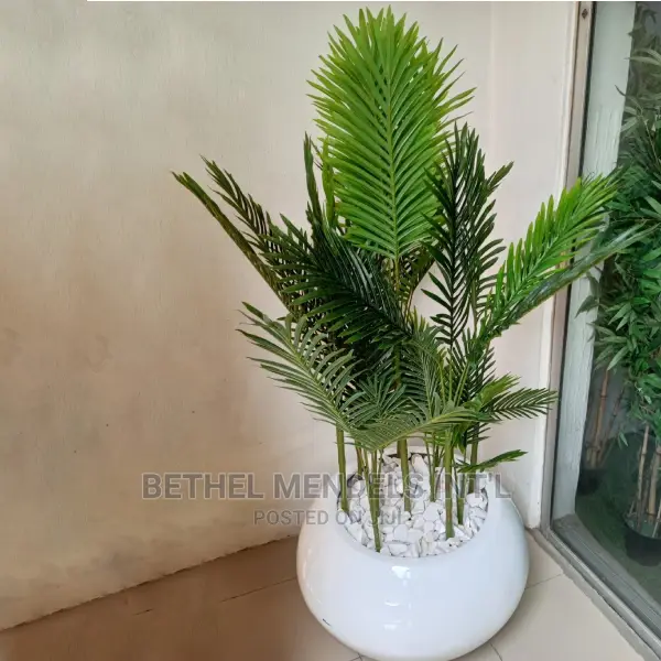 Tomatoes Fiberglass Flower Pots Available for Bulk Sales