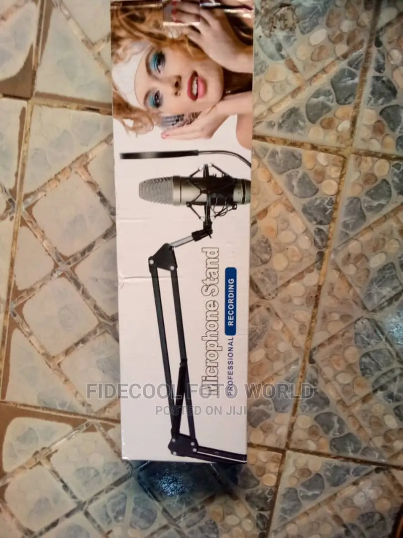 Professional Microphone Stand