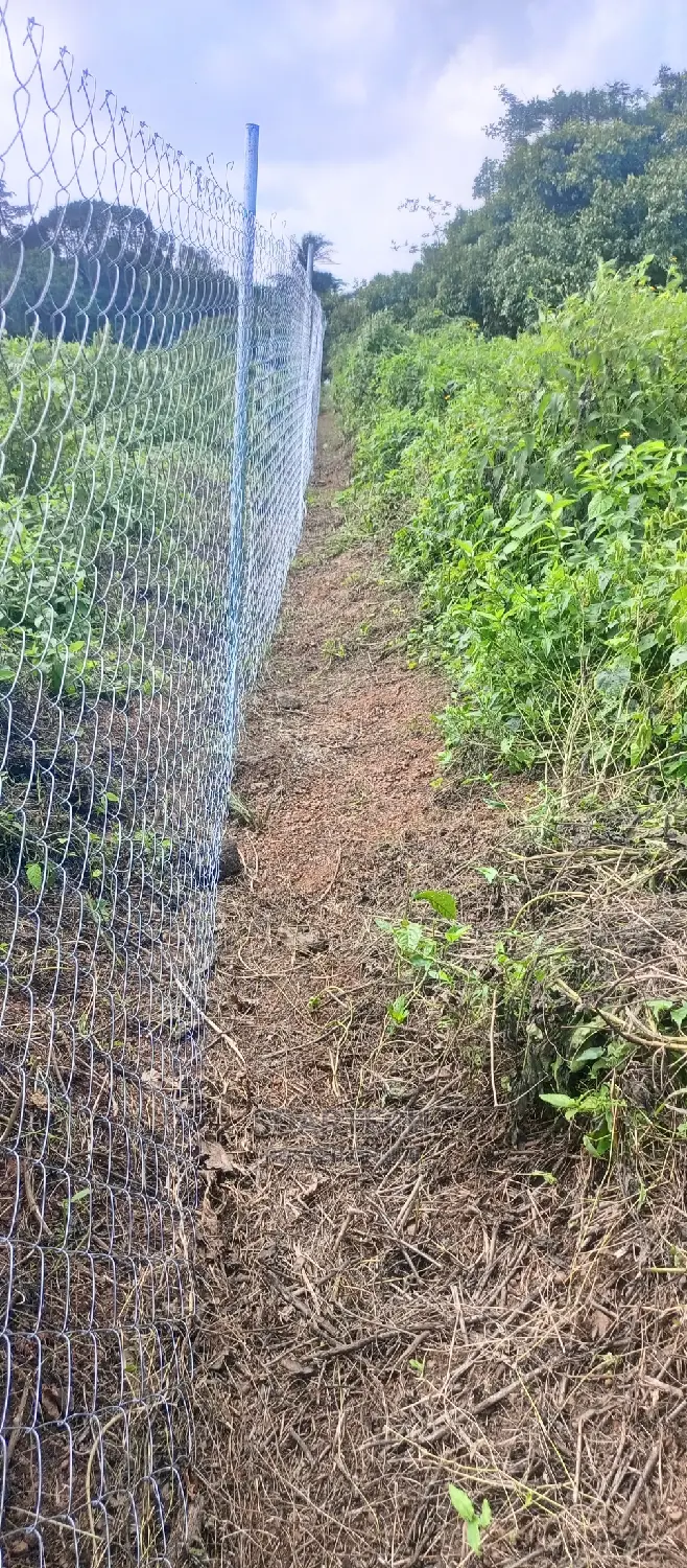 Cheap Way of Fencing Farm Land