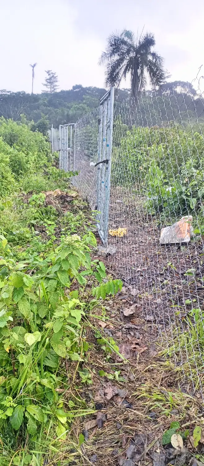 Cheap Way of Fencing Farm Land