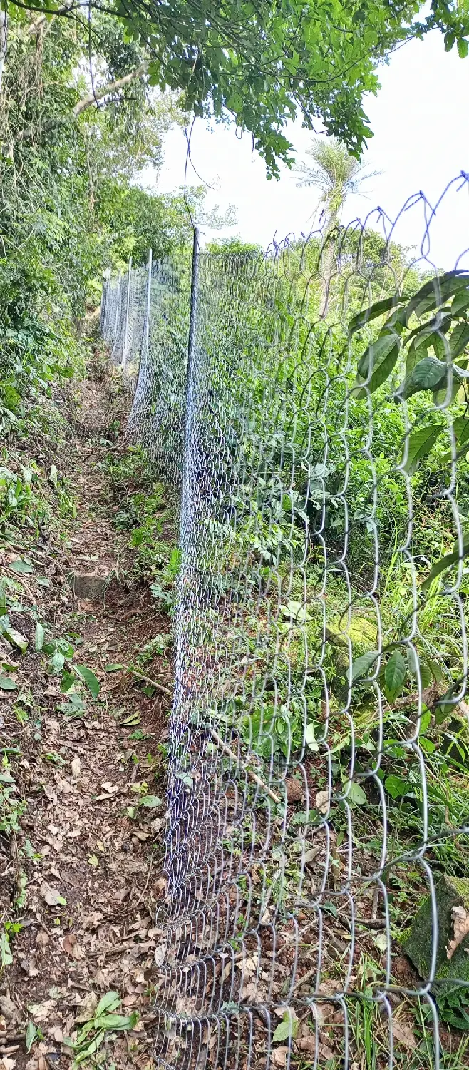 Cheap Way of Fencing Farm Land