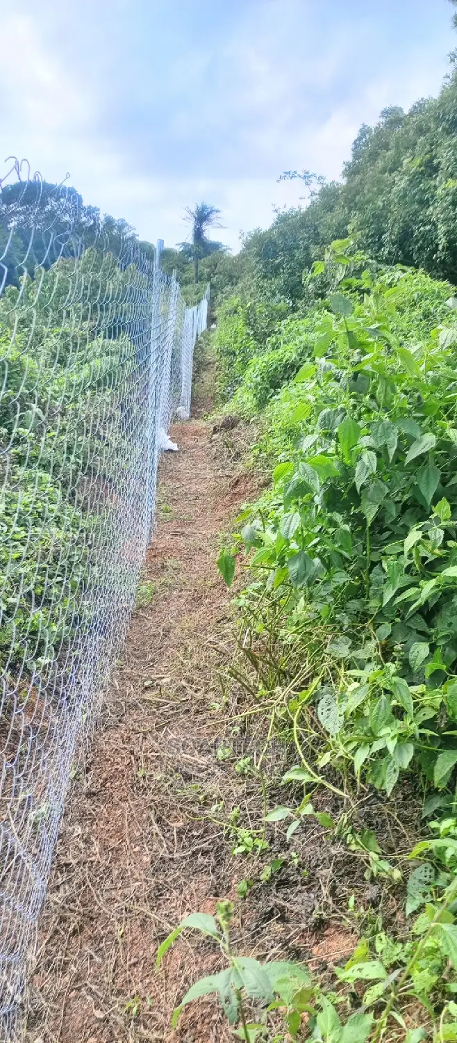 Cheap Way of Fencing Farm Land