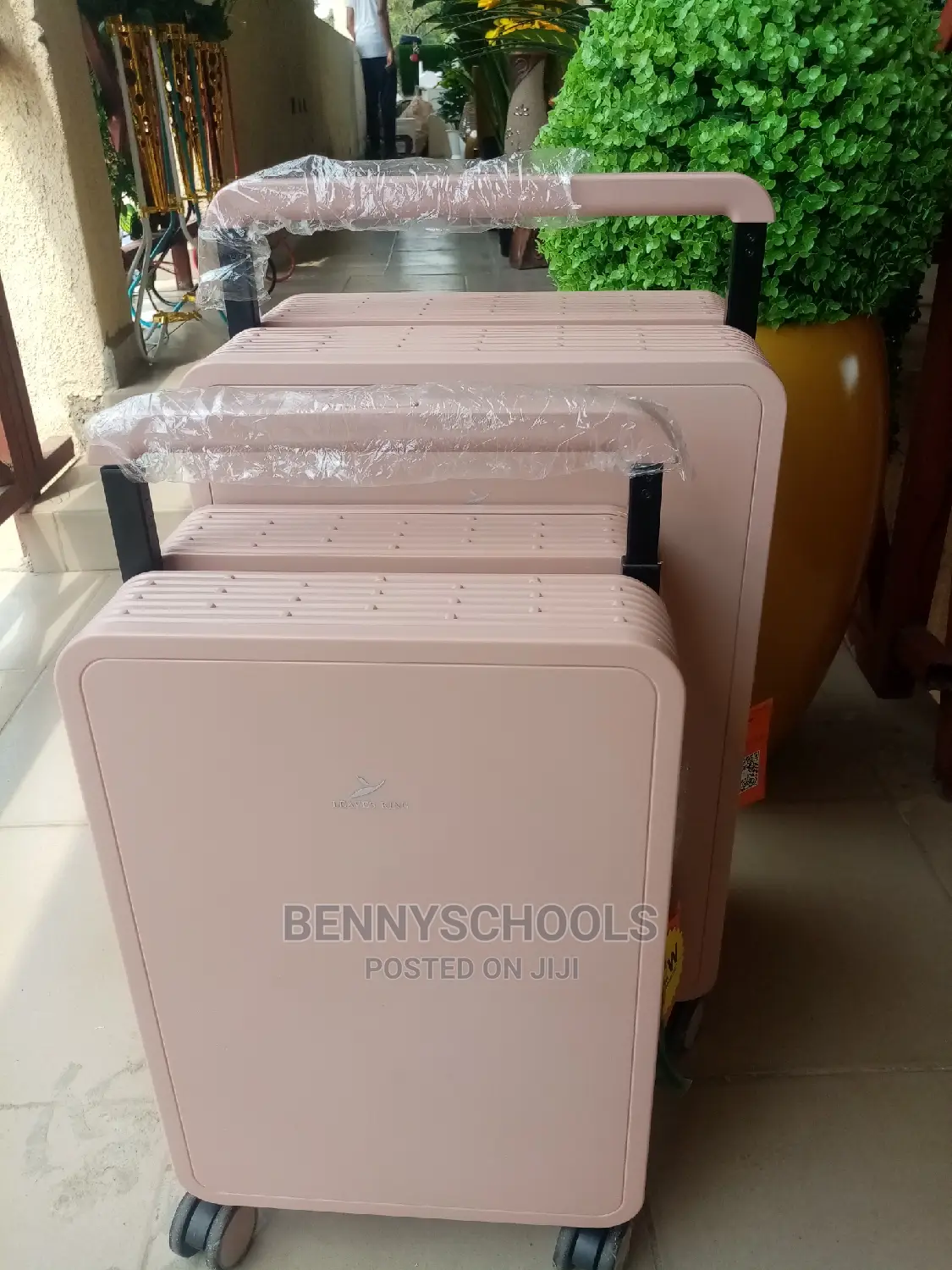 Set of 2 Leaves King Peach Executive Luggage Celebrity Boxes