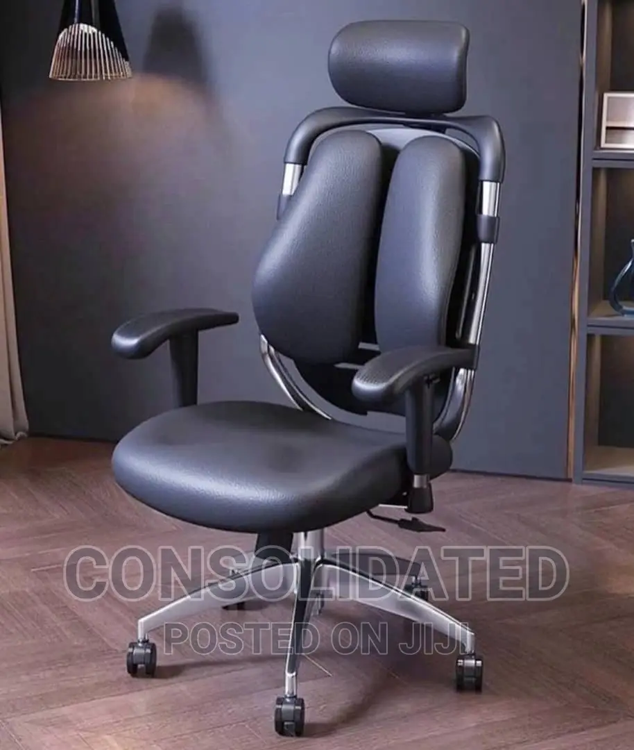 Ergonomic Office Chair (Kidney)