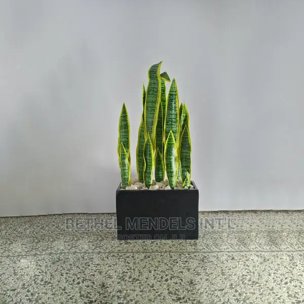 Combo Sales | Fake Snake Plant and Trough Fiberglass Vases