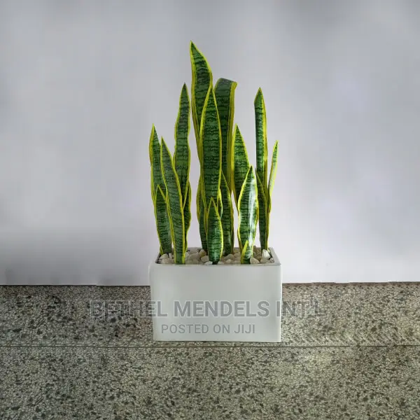 Combo Sales | Fake Snake Plant and Trough Fiberglass Vases