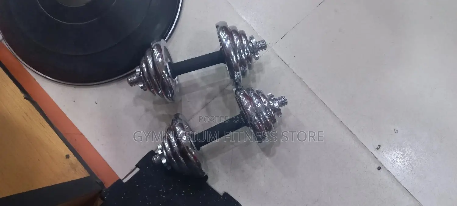 15kg Chrome Pair 5340