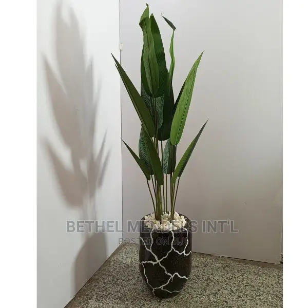 Wholesales of Fiberglass Flower Pots/Plants in Lagos