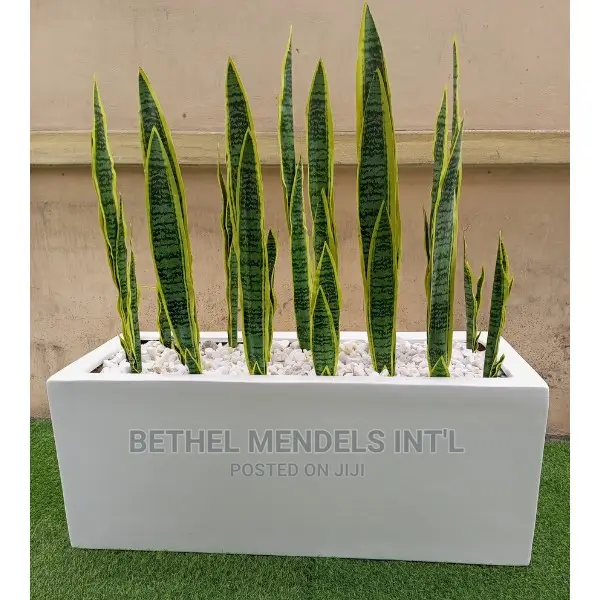 100cm Trough Fiberglass Flower Pots/Vase for Wholesales