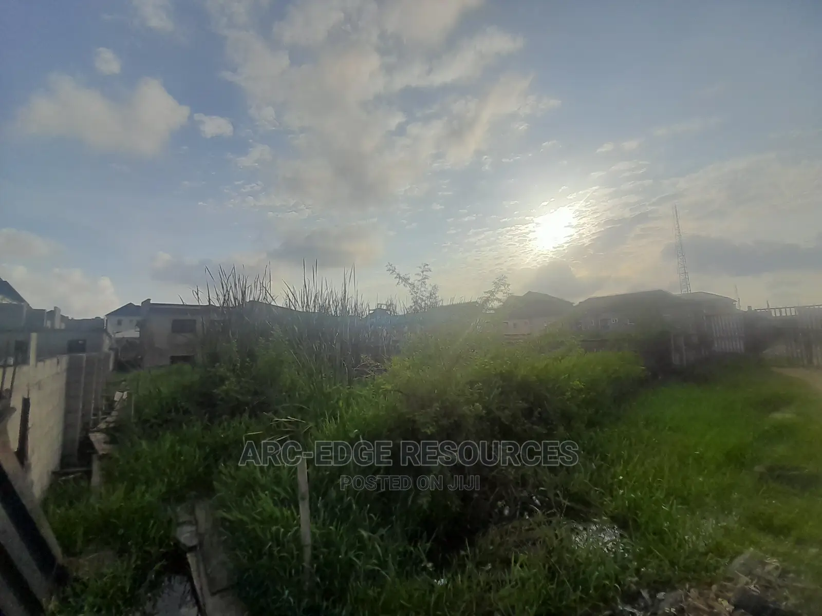 2plots With Cofo