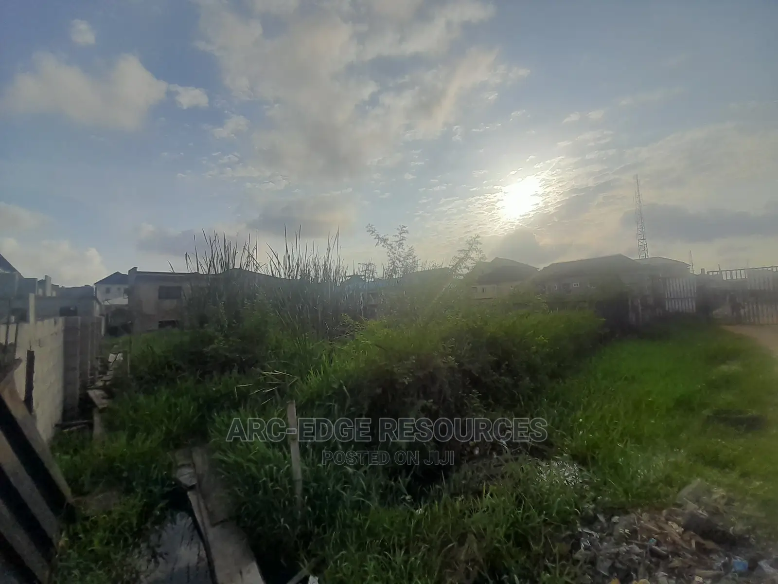 2plots With Cofo